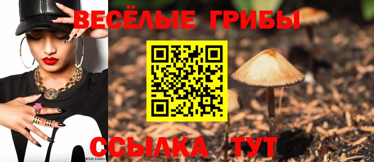 Галлюциногенные грибы прущие грибы  Вход с VPN  Кольчугино  Псилоцибиновые грибы мухоморы 